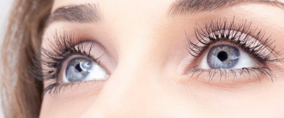 Oko Farbe – Die perfekte Wahl für Wimpernstylisten und Profis