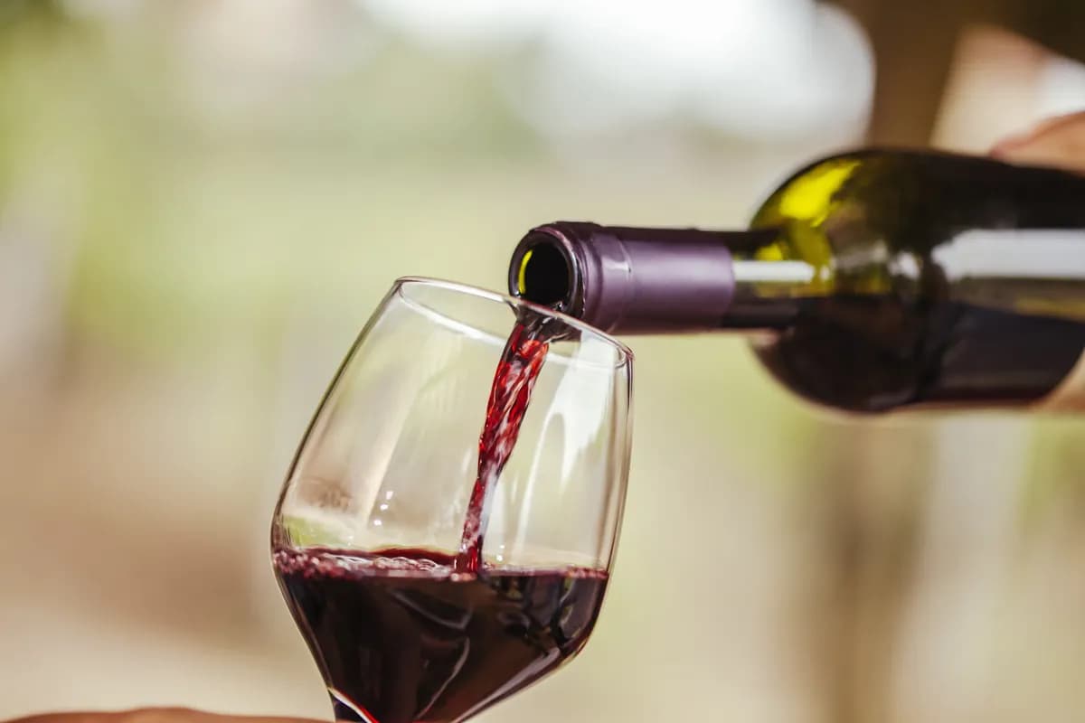 Rotwein aus Italien: Warum jede Region ihren eigenen Charakter hat