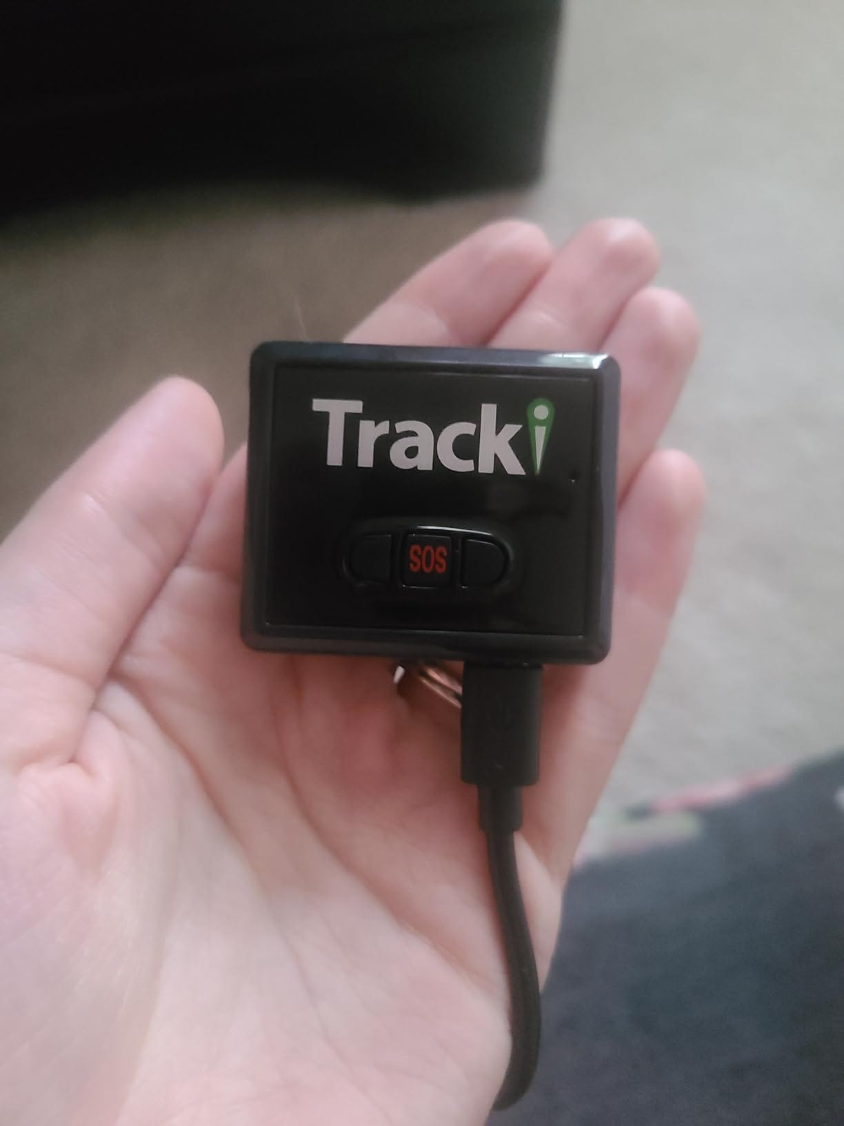 Tracker für Katzen: Der GPS Tracker Katze für die perfekte Überwachung