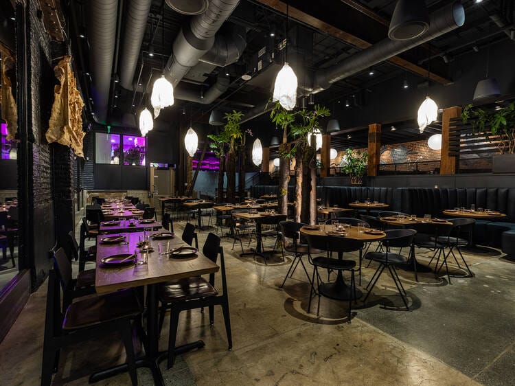 Ein Hauch von Paradies: Entdecken Sie den Charme der besten Restaurants