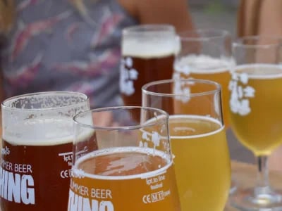 Ein Klassiker neu entdeckt: Pilsner Urquell Tour in Pilsen