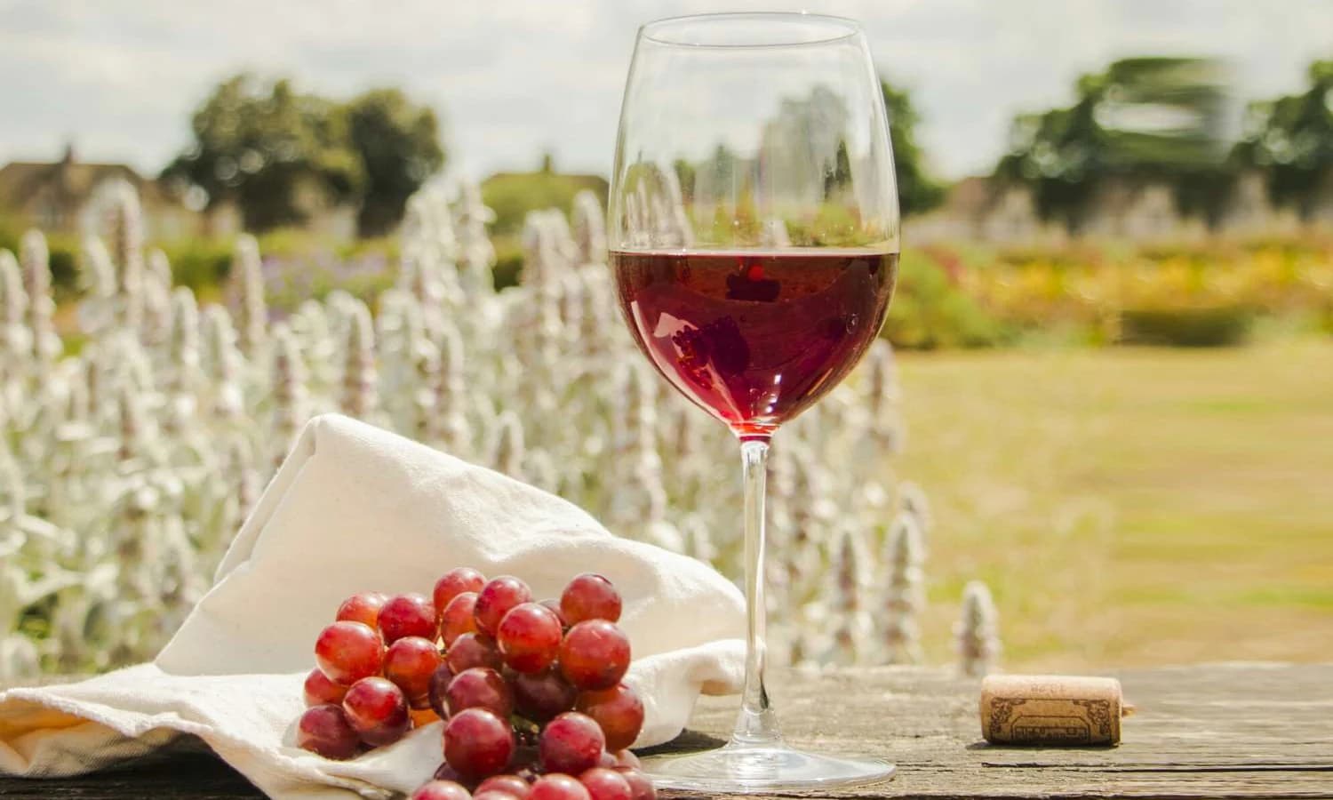 Weinversand im Vergleich: Welcher Anbieter ist der beste?