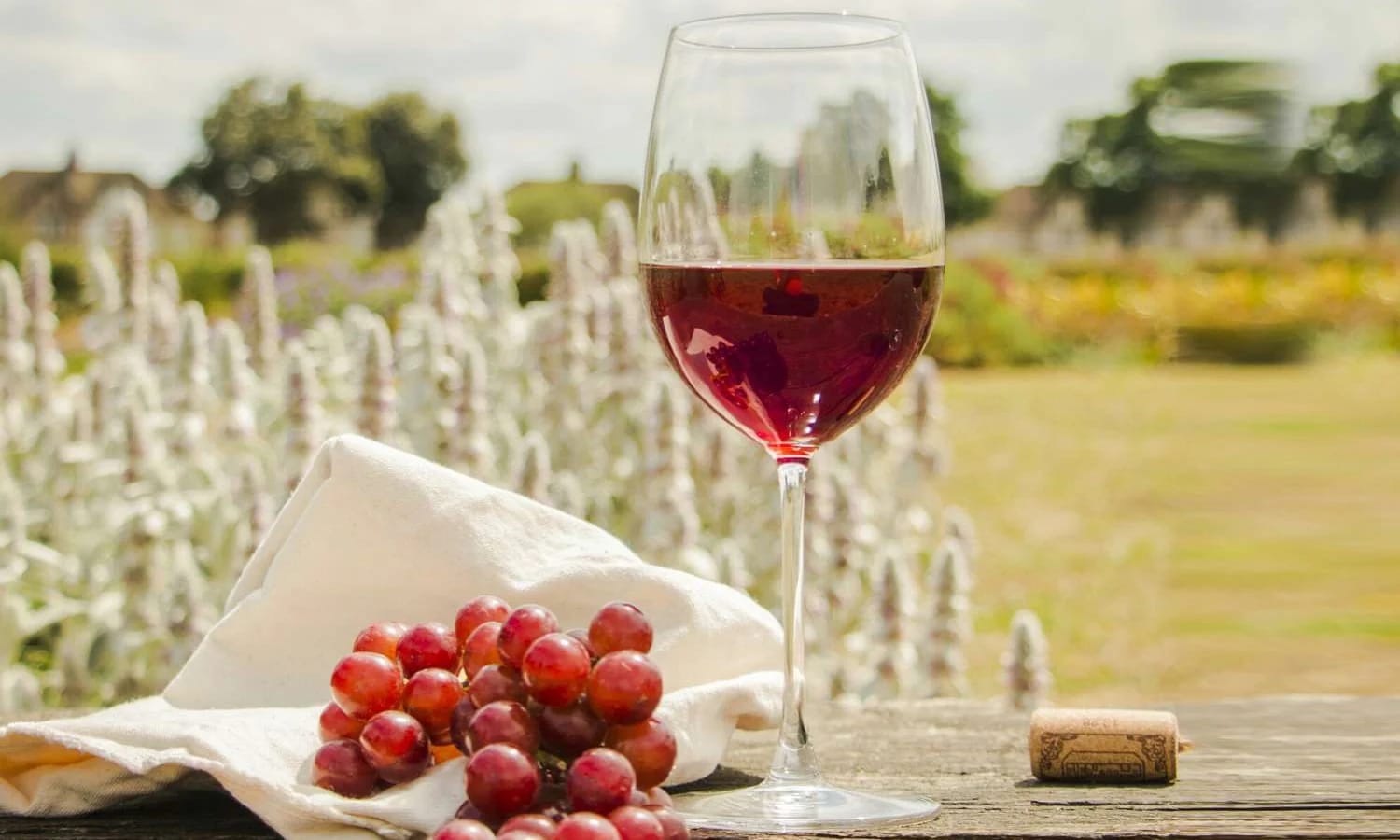 Weinversand im Vergleich: Welcher Anbieter ist der beste?